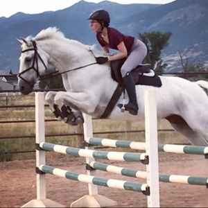 Meet your Posher, Josephine